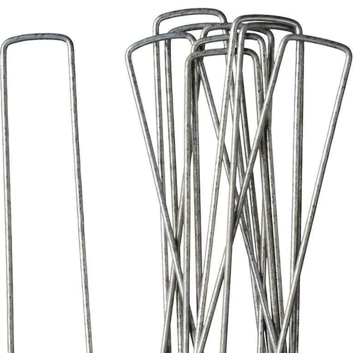 10 Agrafes métalliques Fixsol - Fixez, plantez, terminé