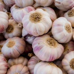 Ail rose - Récolte facile et savoureuse