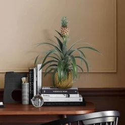 Ananas comosus - Un vrai ananas chez vous