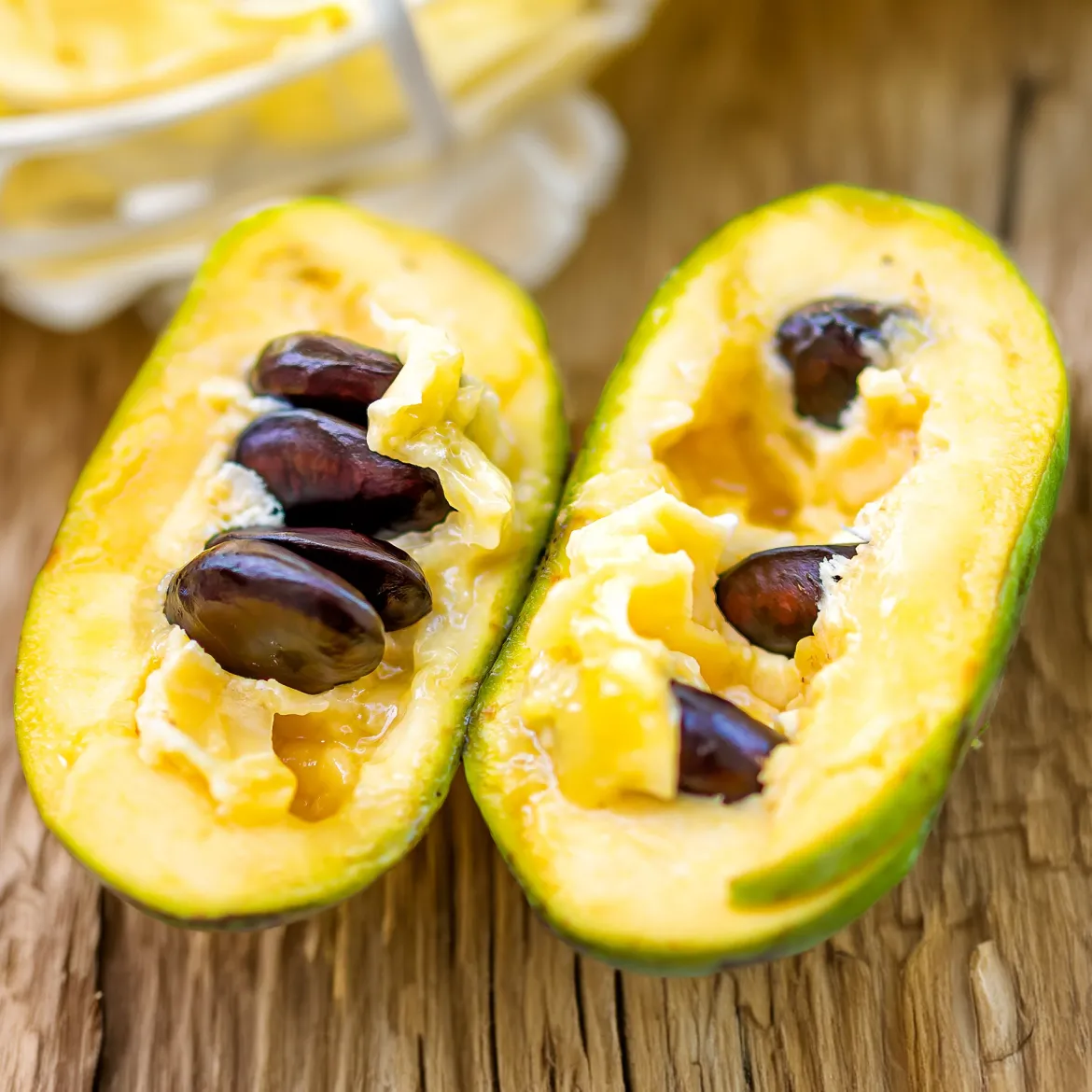 Asiminier - Pawpaw - Le goût exotique au jardin