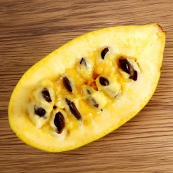 Asiminier Triloba - Un fruit exotique chez vous