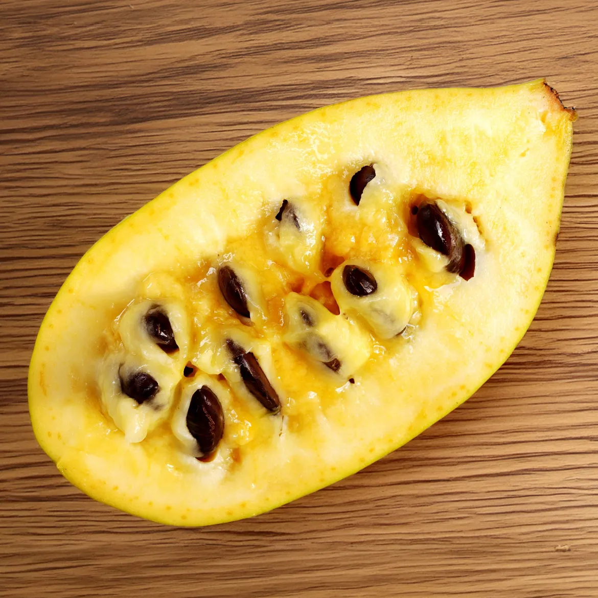 Asiminier Triloba - Un fruit exotique chez vous