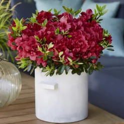 Azalée du Japon Encore® Autumn Fire - Deux floraisons rouge feu