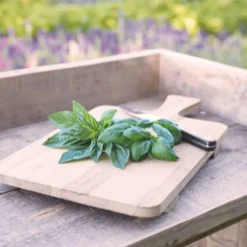 Basilic amélioration de Genovese Bio - Le vrai goût du pesto maison
