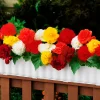 10 Bégonias doubles en mélange EXTRA - Des fleurs doubles tout l'été