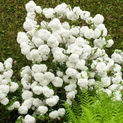 Boule de neige sur tige - Des pompons blancs sans effort