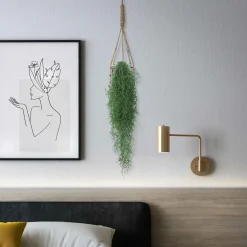 Bromélia Tillandsia usneoides - Plante suspendue - La déco qui vit sans terre