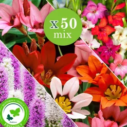 50 Bulbes de fleurs For Bees & Butterflies en mélange - Un jardin vivant tout l'été