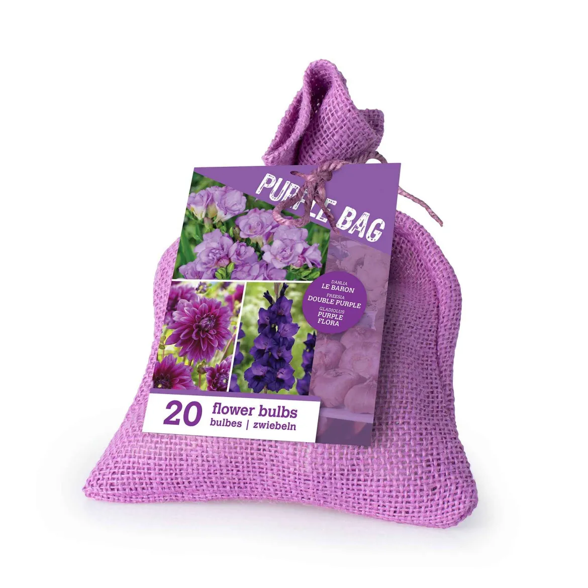 20 Bulbes de fleurs The Purple Bag en mélange - Une bordure violette express