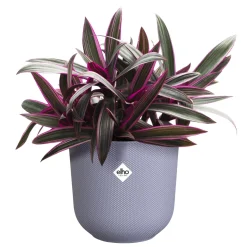 Cache-pot Jazz lilas ELHO - Un pot, une touche déco