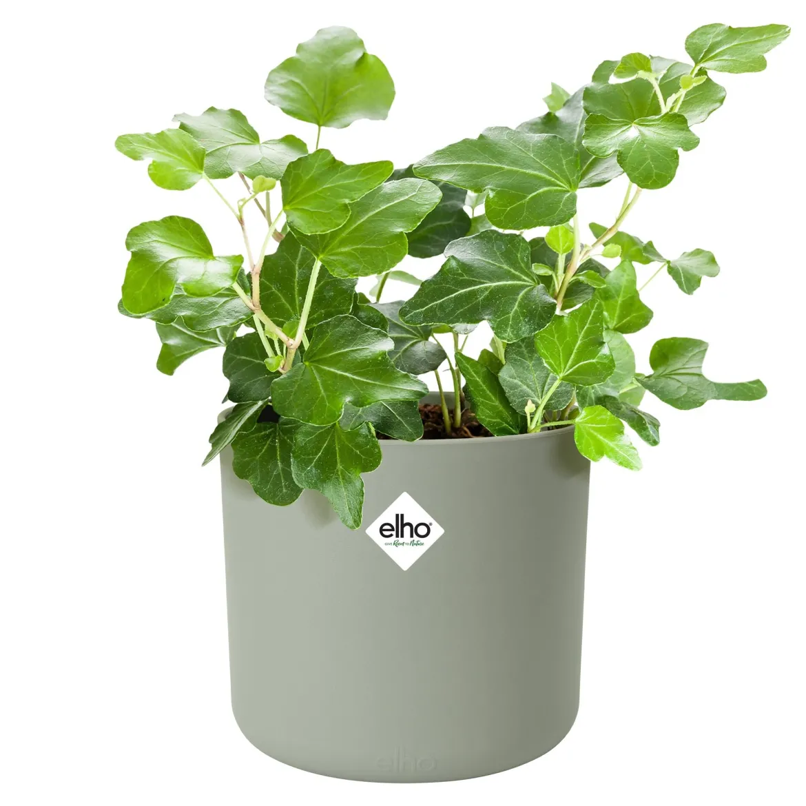 Cache-Pot Soft rond Vert pierre ELHO - Déco instantanée réussie