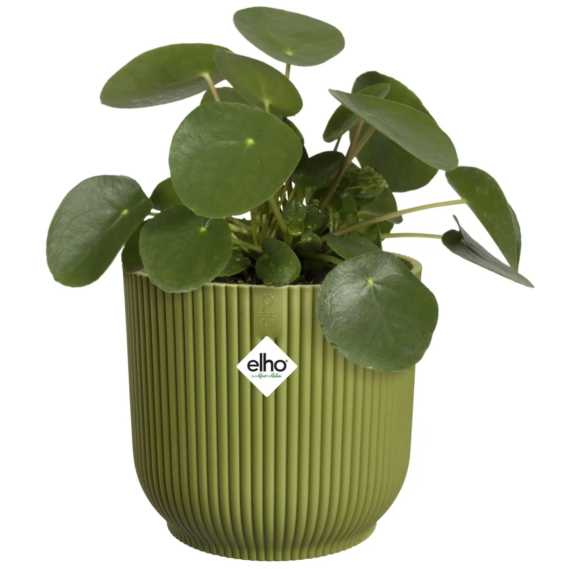 Cache-Pot Vibes fold rond Vert fougère ELHO - Le vert qui change tout