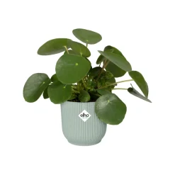 Cache-Pot Vibes fold rond Vert sorbet ELHO - Le vert qui réveille