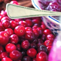 Canneberge - Cranberry - Vos superfruits maison