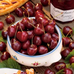 Cerisier bigarreau Van - Des cerises rouges dès juin