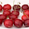 Cerisier Sunburst autofertile - Des cerises sans deuxième arbre
