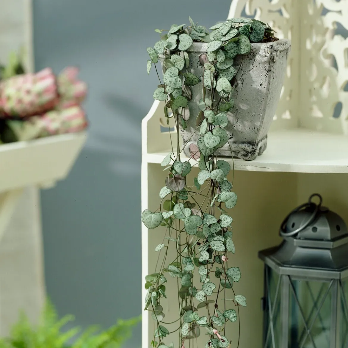 Chaîne des cœurs - Cascade déco sans effort