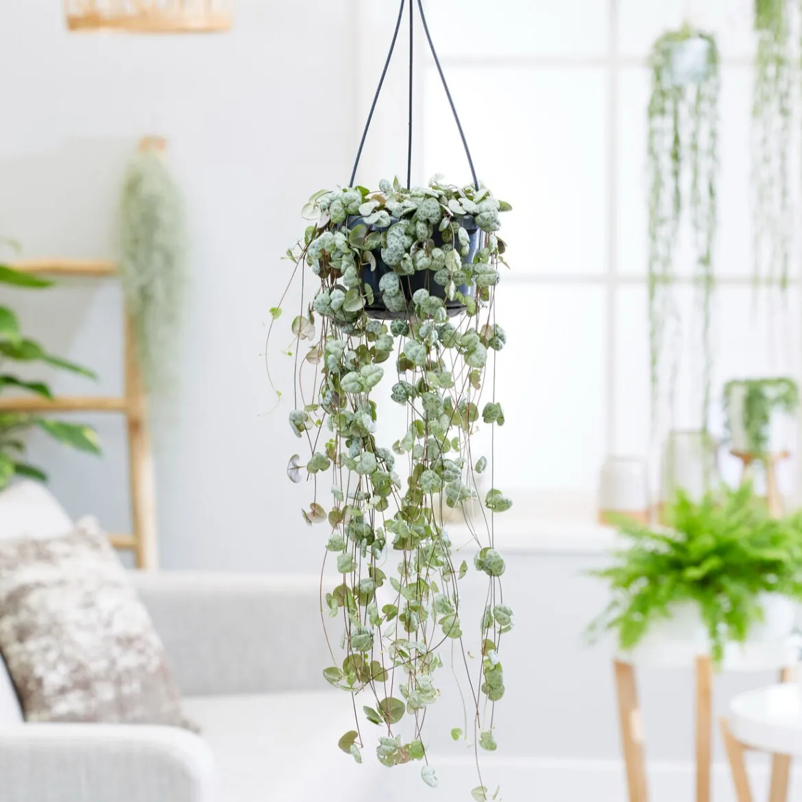 Chaîne des cœurs - Cascade déco sans effort