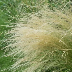 Cheveux d'Ange - L'effet vague au moindre vent