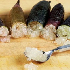 Citron caviar - Le caviar végétal chez vous