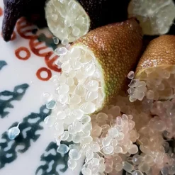 Citron caviar - Le caviar végétal chez vous