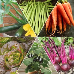 Collection de graines pour carré potager #1 - Idéal pour un potager compact