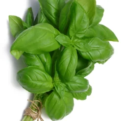 Collection de 4 Plants Aromatiques basilic, ciboulette, persil, thym - Parfait pour agrémenter vos recettes
