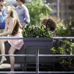 Elho Balconnière Loft urban anthracite - Un balcon fleuri en 5 min
