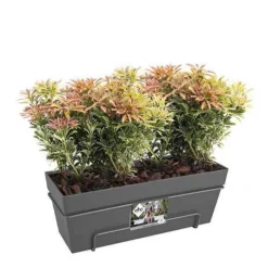 Elho Balconnière Loft urban anthracite - Un balcon fleuri en 5 min