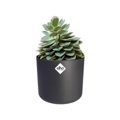 Elho Pot B.for soft rond anthracite - Déco réussie en 1 geste