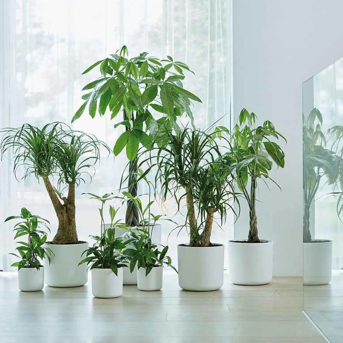 Elho Pot B.for soft rond blanc - Déco blanche en 1 geste