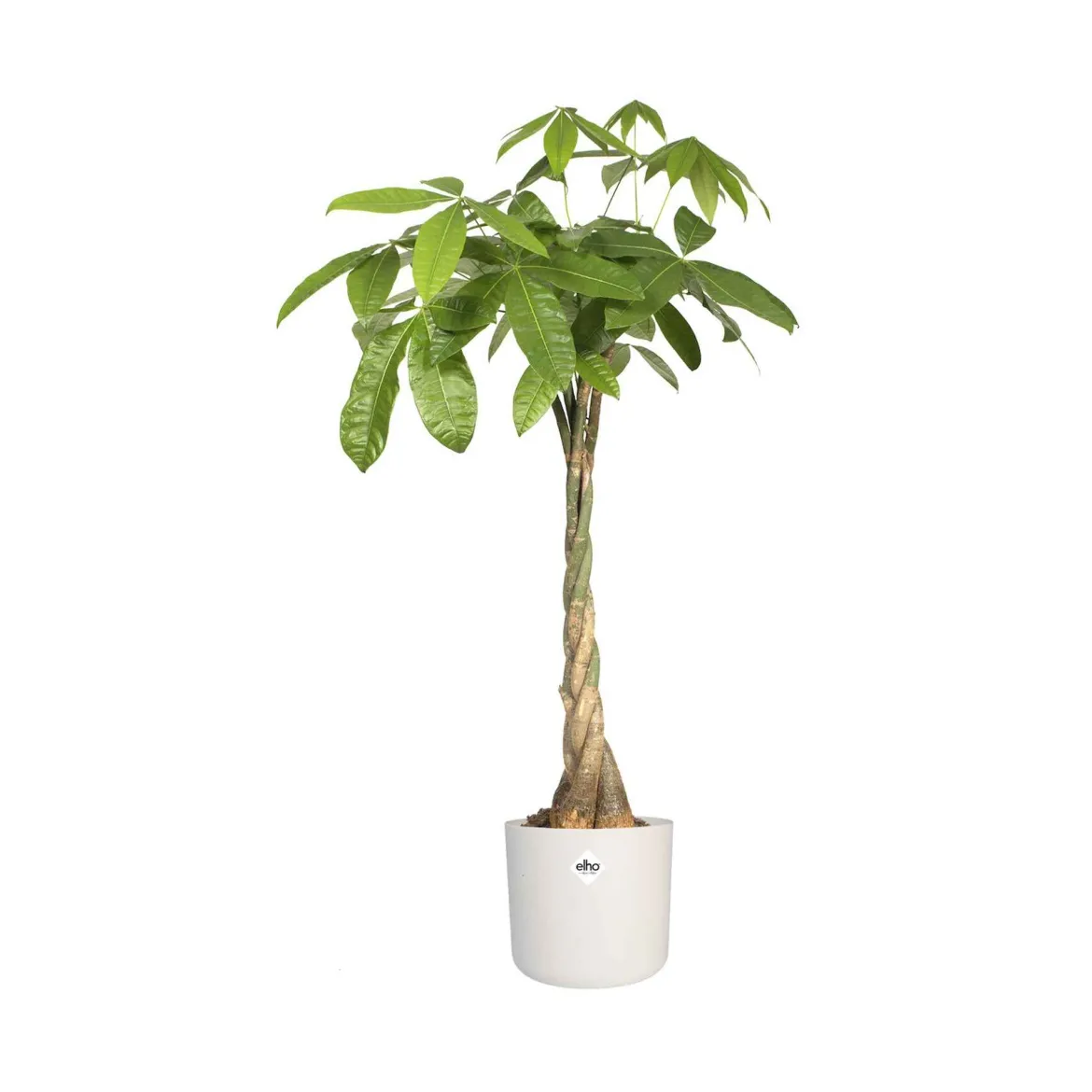 Elho Pot B.for soft rond blanc - Déco blanche en 1 geste