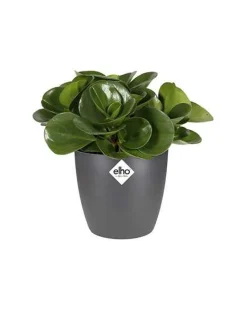 Elho Pot Brussels rond anthracite - Style anthracite chez vous