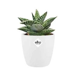 Elho Pot Brussels rond blanc - Déco prête en 1 minute