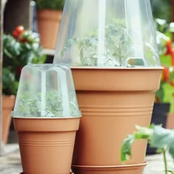 Elho pot pour orchidée - Vos orchidées enfin sublimées