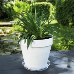 Elho Soucoupe Uni-Saucer transparent - Fini les taches d'eau