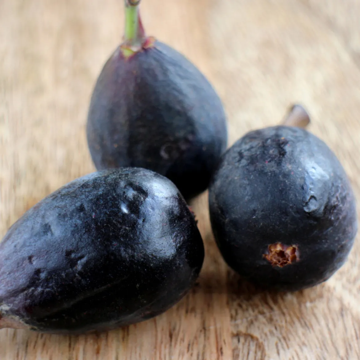 Figuier Noire de Caromb - Des figues sucrées deux fois par an