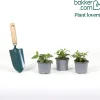 3 Fuchsias retombants Blue Angel - Cascade violette tout l'été