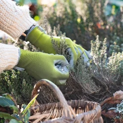 Gant Colors de jardin vert anis - Mains protégées, jardin facile