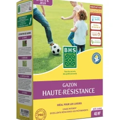 Gazon haute résistance - 1 kg, 40m² BHS