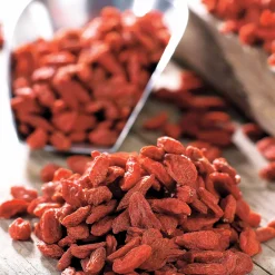Goji - Vos baies antioxydantes maison