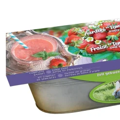 Graines de Fraisiers Temptation et jardinière zinc - Des fraises dès le balcon