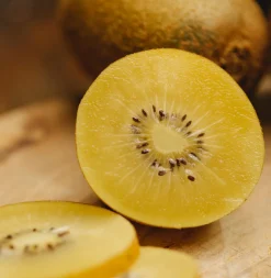 Kiwi jaune femelle Golden Kiwi - Des kiwis dorés chez vous