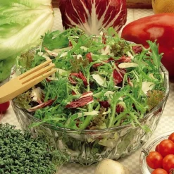Laitues gastronome en mélange - Salades fraîches tout l'été