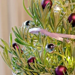 Lavande de Noël - Sapin parfumé prêt à poser