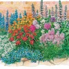 Le massif été fleuri - 18 plantes vivaces - Superficie environ 2 m² - Un été 100% fleuri
