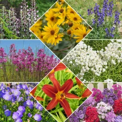 Le massif été fleuri - 18 plantes vivaces - Superficie environ 2 m² - Un été 100% fleuri