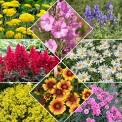 Massif fleuri facile - 8 plantes vivaces - Superficie env. 1,5 m² - Un massif prêt à fleurir