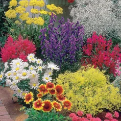 Massif fleuri facile - 8 plantes vivaces - Superficie env. 1,5 m² - Un massif prêt à fleurir