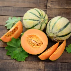 Melon Cantaloup charentais - Le vrai goût du melon d'été